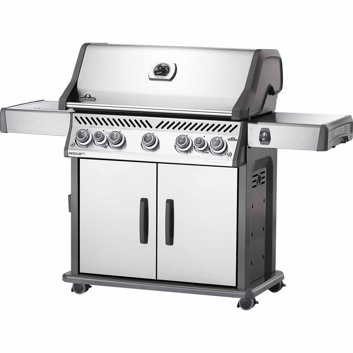 Rogue 625-1 SE - Bild 2